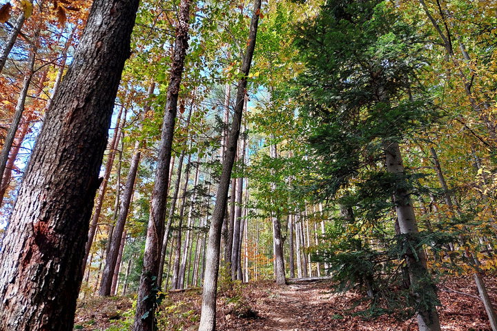 Foto: Alice Frischherz