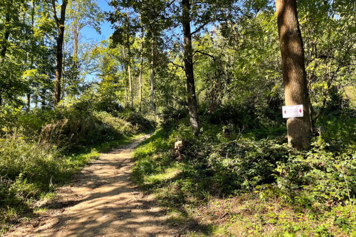 Foto: Eva Maria Ginal