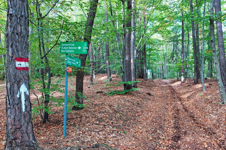 Foto: Alice Frischherz