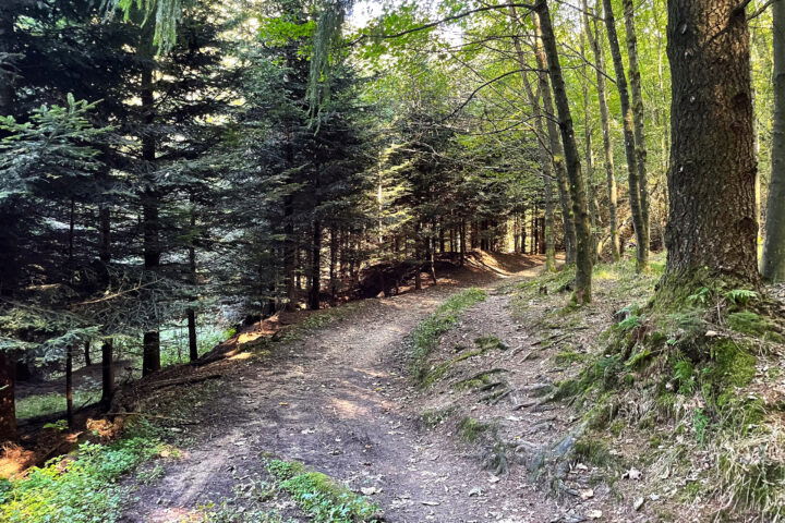 Foto: Eva Maria Ginal