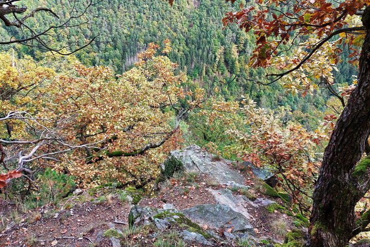 Foto: Alice Frischherz