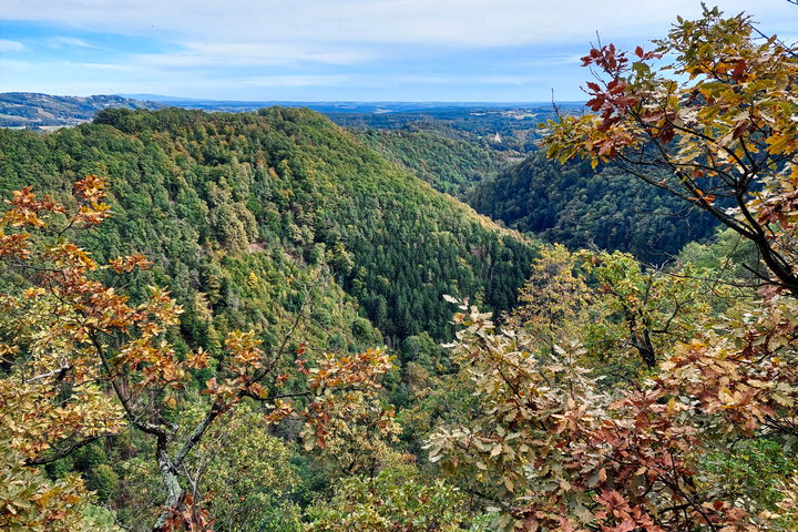 Foto: Alice Frischherz