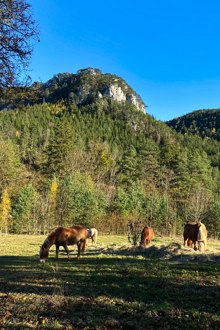 Ende der Tour in Miesenbach/Balbersdorf, Bushaltestelle und Rückblick zu den Balbersteinen. Foto: Peter Backé