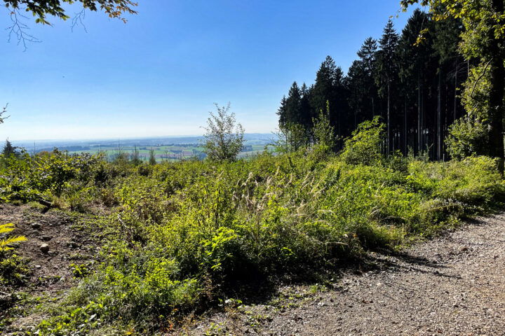 Foto: Eva Maria Ginal