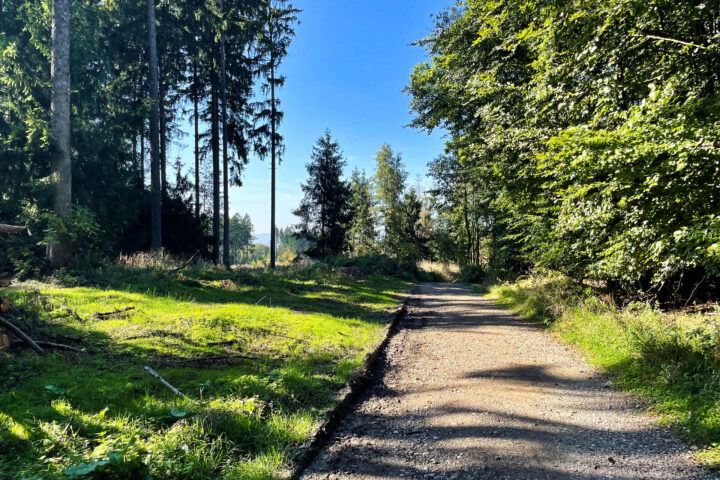 Foto: Eva Maria Ginal