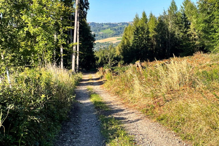 Foto: Eva Maria Ginal