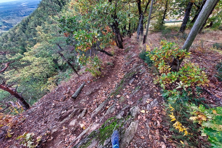 Foto: Alice Frischherz