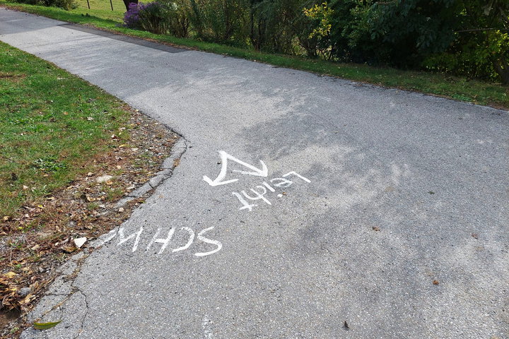 Foto: Alice Frischherz