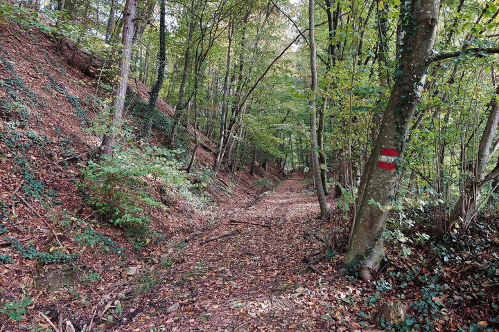 Foto: Alice Frischherz