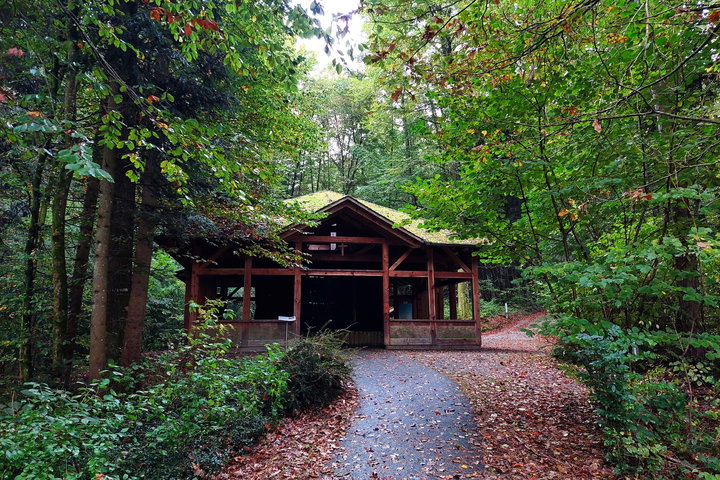 Foto: Alice Frischherz