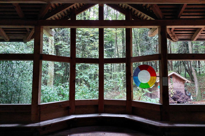 Foto: Alice Frischherz