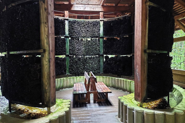 Foto: Alice Frischherz