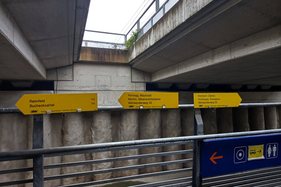 Foto: Martina Friesenbichler