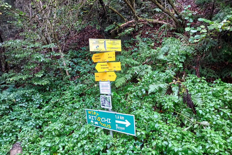 Foto: Martina Friesenbichler