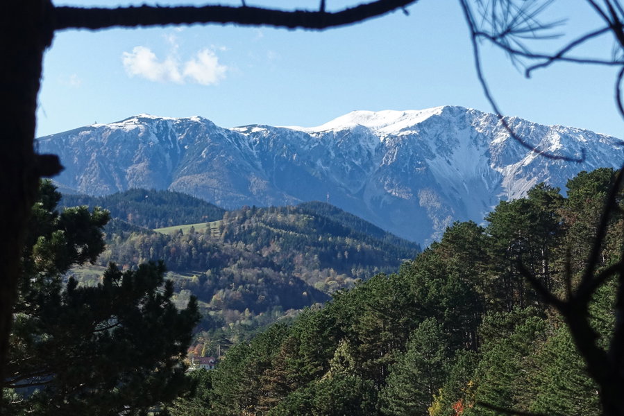 Schneebergblick beim Aufstieg. Foto: Gerold Petritsch