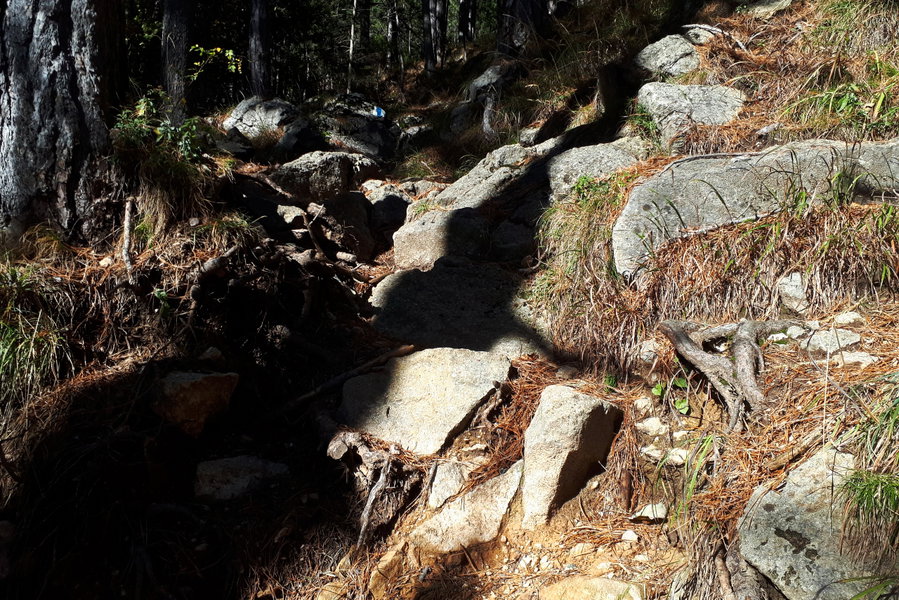 Am Grafenbergweg. Foto: Gerold Petritsch