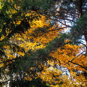 Gahns-Wanderung von Prigglitz nach Payerbach