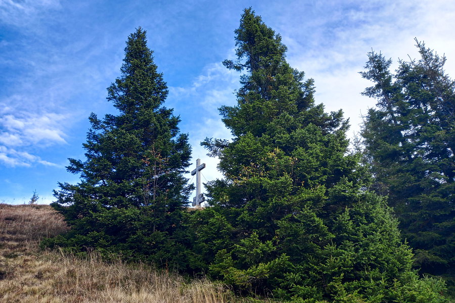 Foto: Martina Friesenbichler