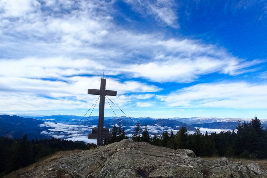 Foto: Martina Friesenbichler