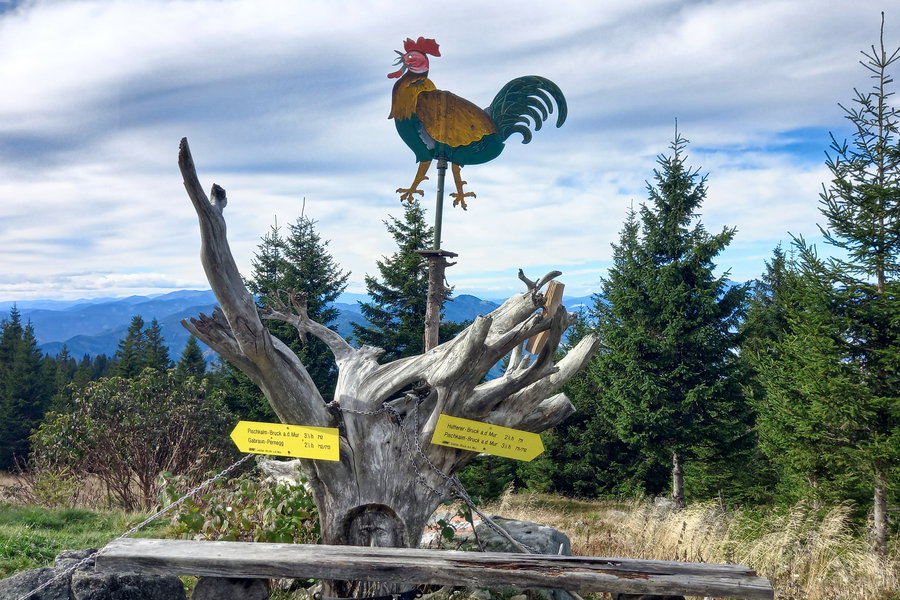 Für den Abstieg nehme den Weg 711. Foto: Martina Friesenbichler