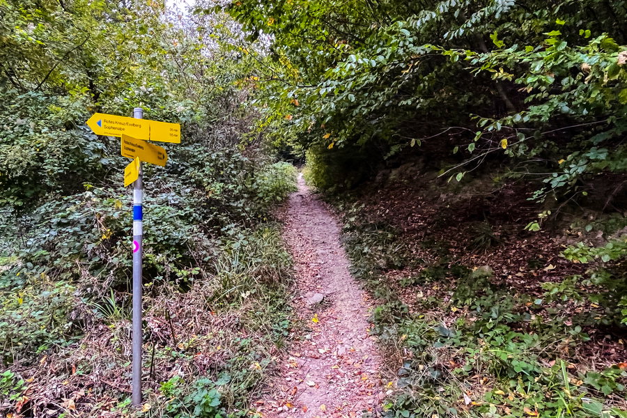 Der richtige Weg beim Wegweiser ‘Rotes Kreuz/Sophienalpe und Exelberg’. Foto Birgit Matzinger