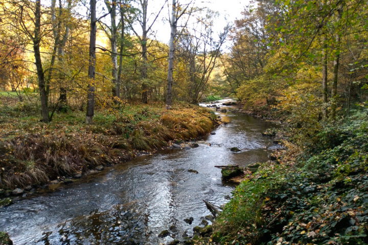 Foto: Veronika Lehner