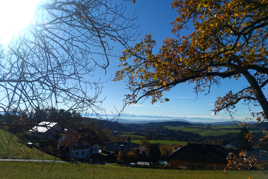 Blick ins Tote Gebirge. Foto: Veronika Lehner