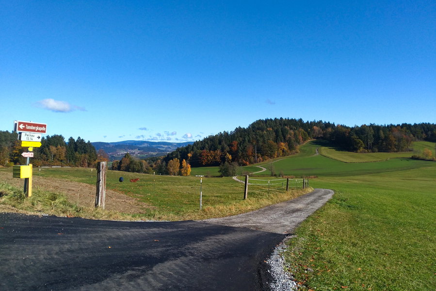 Hinab ins Tal und hinten wieder rauf. Foto: Veronika Lehner