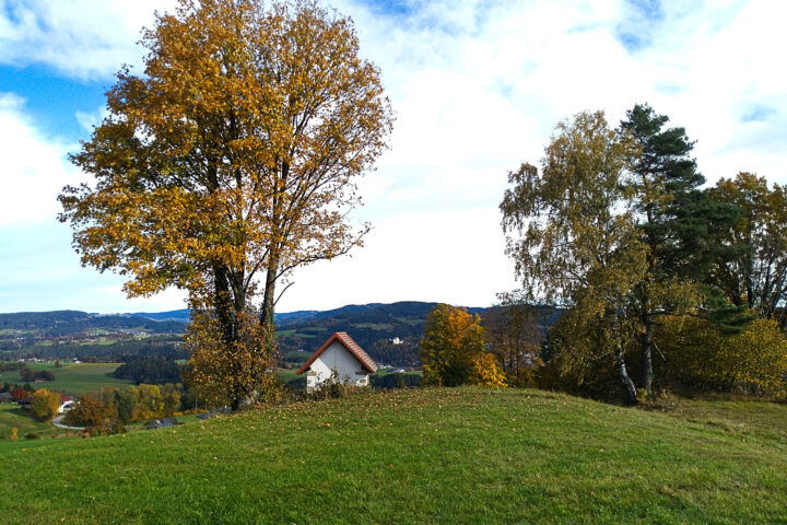 Foto: Veronika Lehner