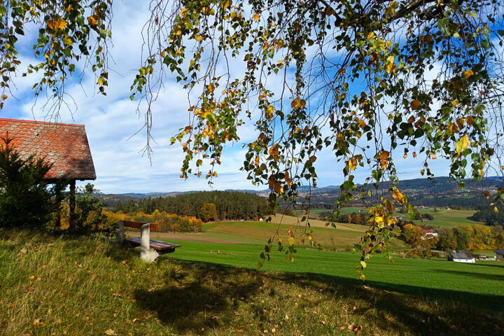 Foto: Veronika Lehner