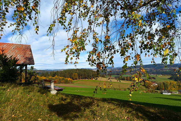 Foto: Veronika Lehner