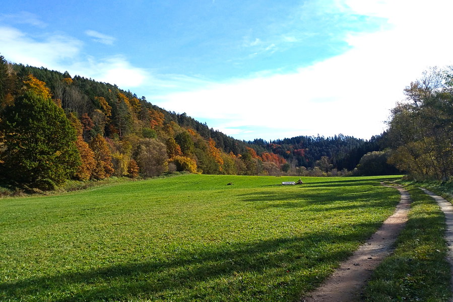 Weit und grün. Foto: Veronika Lehner