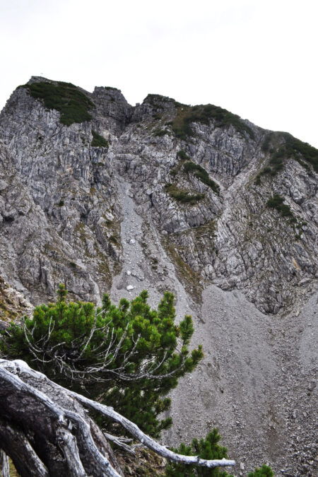 Foto: Norman und Lisa