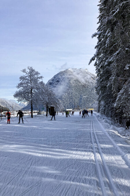 Foto: Vanessa Riegler