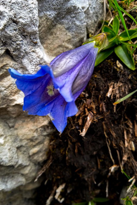 Foto: Birgit Frank