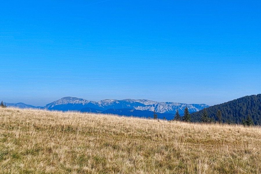 Blick auf das Raxmassiv (ca. Bildmitte Preinerwand, links Heukuppe). Foto: Alice Frischherz
