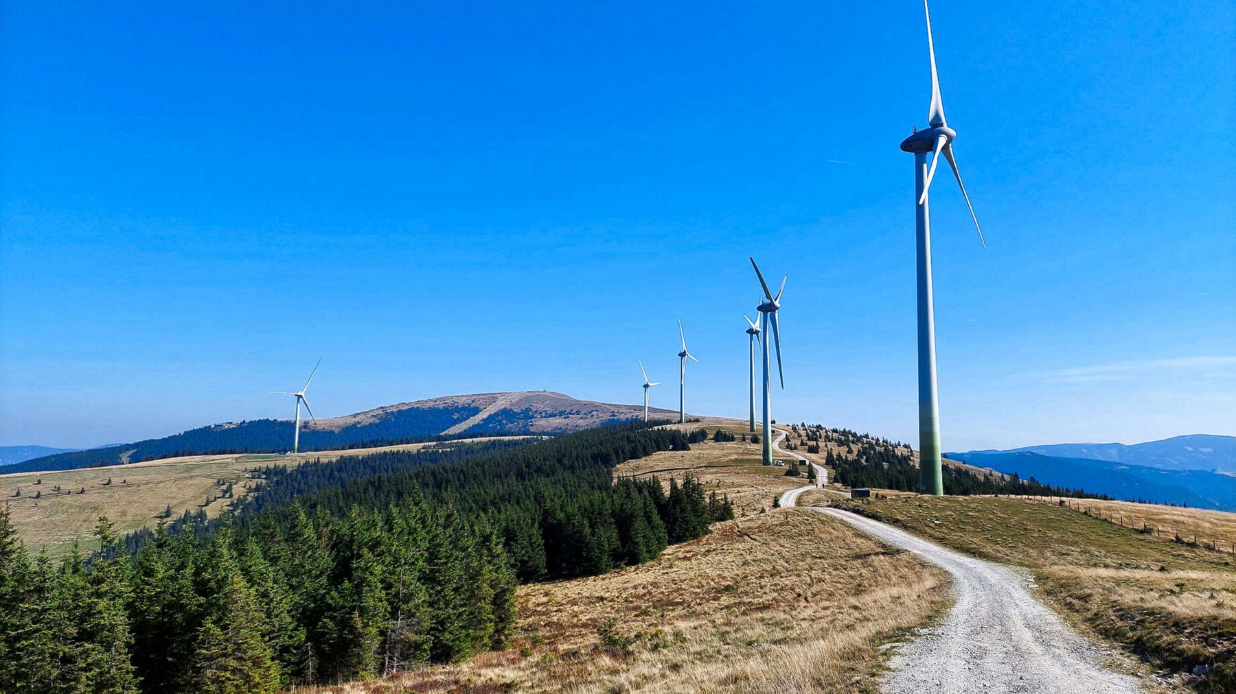 Blick zurück zum Stuhleck. Foto: Alice Frischherz