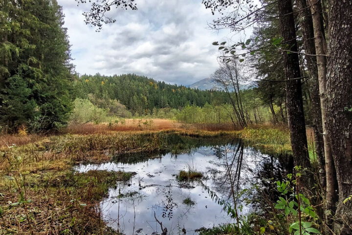 Egelsee. Foto: Julian Kleinknecht