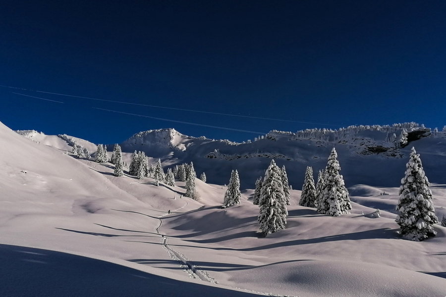 Hinter der unteren Saluveralpe, die Matona im Hintergrund. Foto: Norman und Lisa
