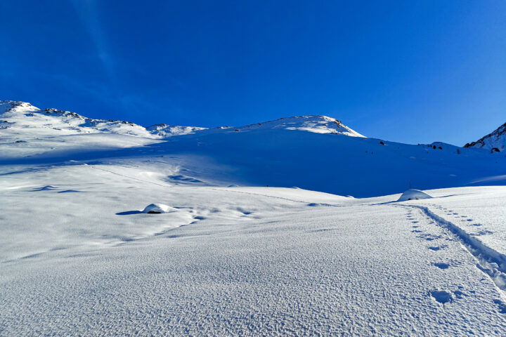 Hinter uns das Fotschertal und die Furggesalm, vor uns der Gipfel des Schaflegerkogels. Fotos: Simon Widy