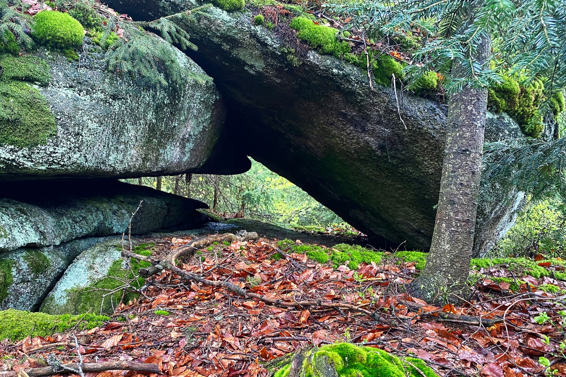 Bärenstein von Aigen-Schlägl