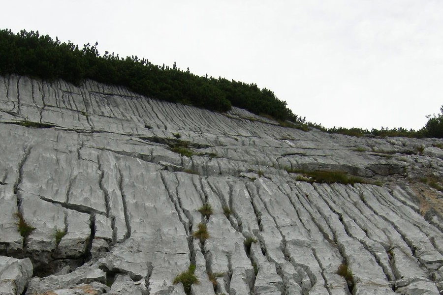 Immer wieder kommen wir an Karren vorbei. Kein Wunder, sind wir doch in den Nördlichen Kalkalpen unterwegs, da sind Karstformen wie diese keine Seltenheit. Foto: Siebenbrunner, POW AT