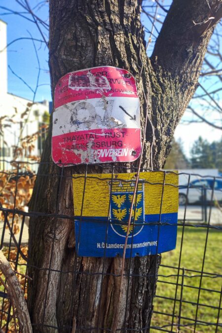 Abstieg am Nordwienersteig nach Langenzersdorf, im Hintergrund Klosterneuburg. Fotos: Simon Widy