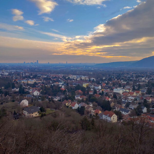 Abendstimmung über Langenzersdorf. Foto: Simon Widy