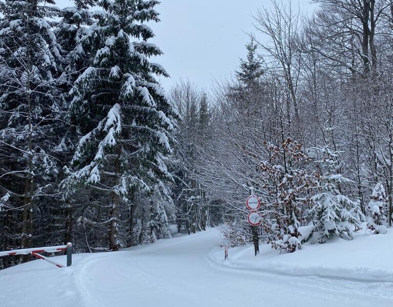 Turmkogelloipe. Foto Peter Backé