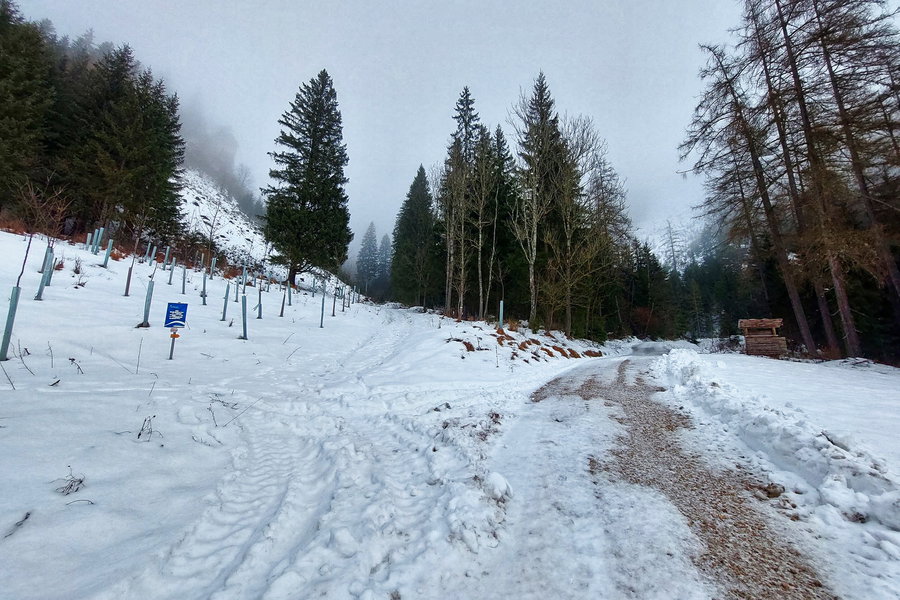 Abzweigung nach links (im Bild geradeaus) auf den Rittersteig. Foto: Alice Frischherz