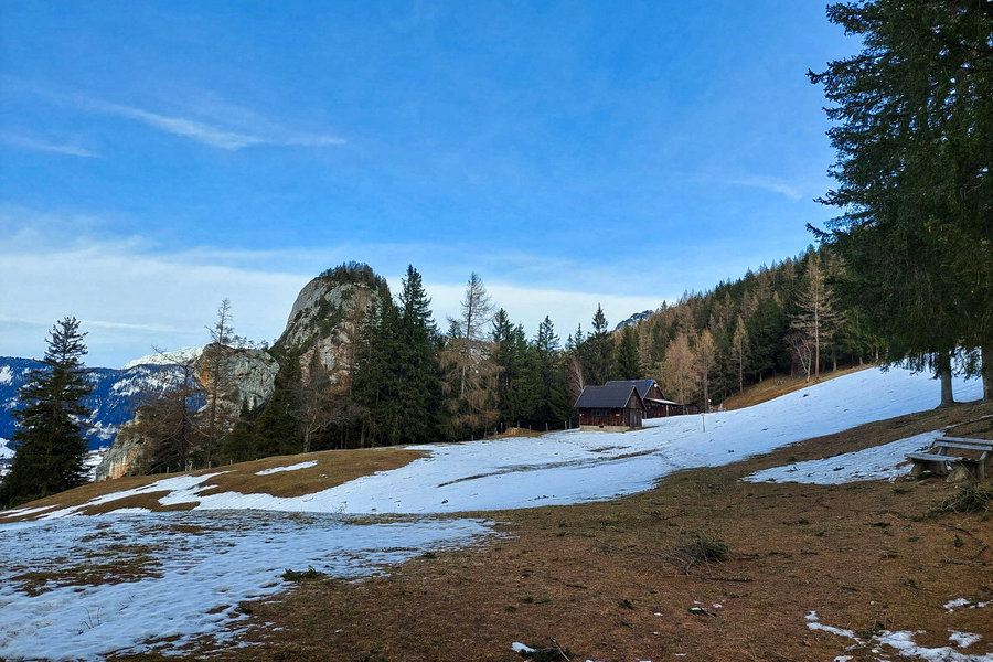 Lichtung mit Blick aufs Gindhorn. Foto: Alice Frischherz
