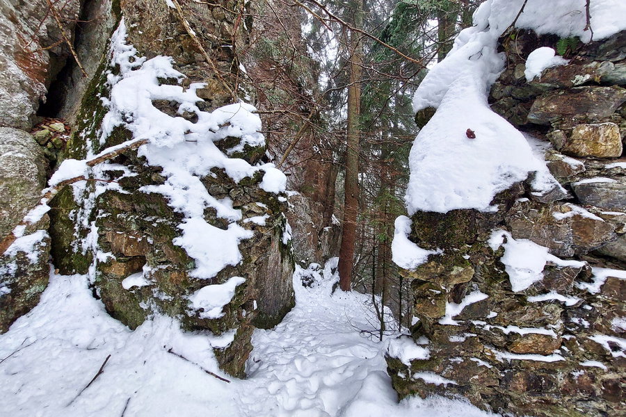 Erkunden der Ruine Kammerstein – weit komme ich nicht voran. Foto: Alice Frischherz