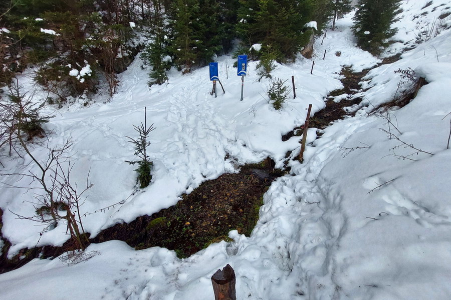 Kurz nach der Ruine Kammerstein stehen bereits die Infotafeln zur Ruine Ehrenfels. Foto: Alice Frischherz