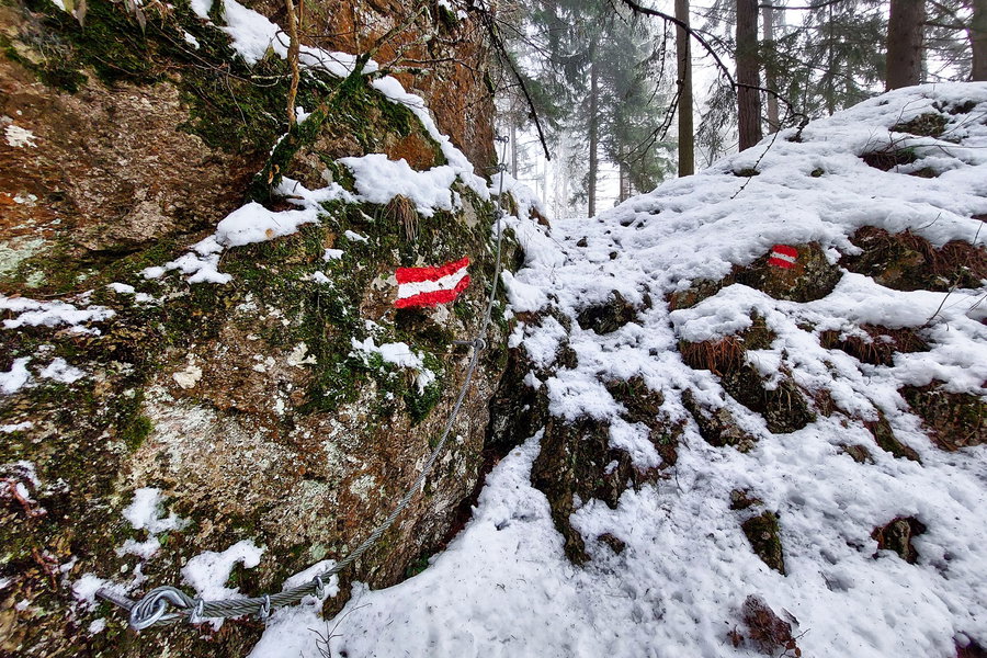 Kurze seilversicherte Stelle am Felsen. Foto: Alice Frischherz
